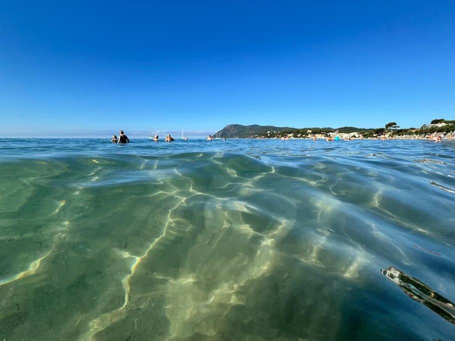 Appart Cosy, Piscine, Clim, Parking Prive - Proche Plage - Arrivee Autonome - Lit Queen Size La Seyne-sur-Mer Dış mekan fotoğraf