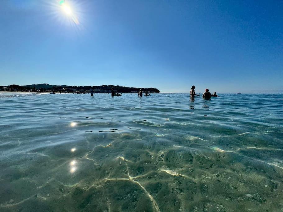 Appart Cosy, Piscine, Clim, Parking Prive - Proche Plage - Arrivee Autonome - Lit Queen Size La Seyne-sur-Mer Dış mekan fotoğraf